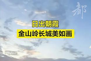 费迪南德：滕哈赫若下课或转投拜仁 阿尔特塔会同意接手曼联